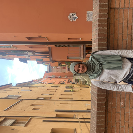Photo of Nour Mehdi