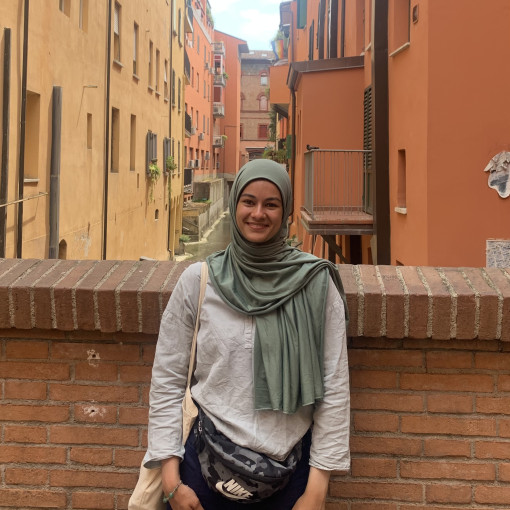 Photo of Nour Mehdi